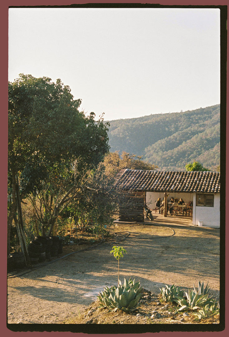 The cabin at our Palenque